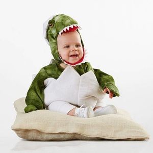 Baby Green Dinosaur Egg Halloween Costume